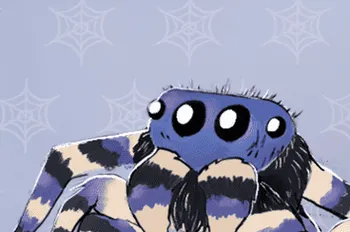 Cercle Arachnéen Image