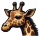 Faction Icon