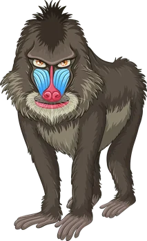 Ape Castes of Twelve Image