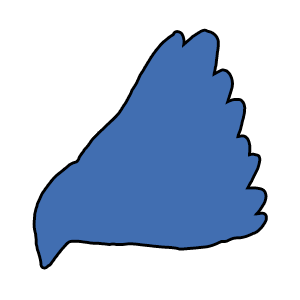 bird