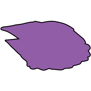 crow