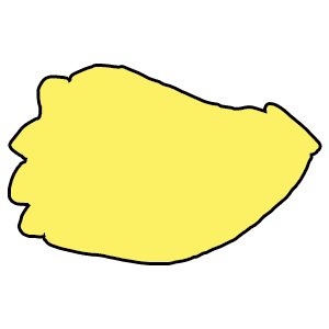 lizard
