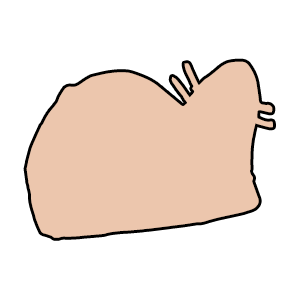 mole